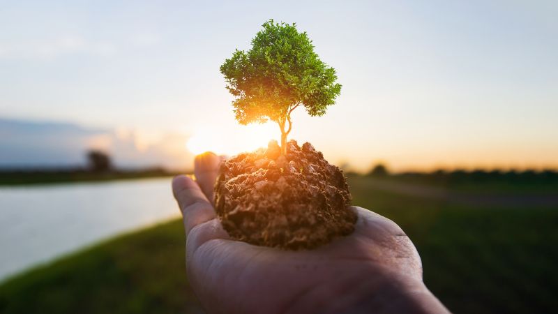 The Future of CSR in India: Trends to Watch in 2025